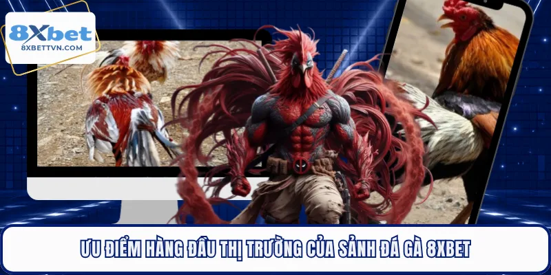Ưu điểm hàng đầu thị trường của sảnh đá gà 8XBET